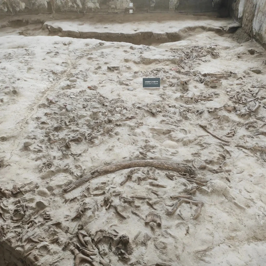 Jinsha Site Museum Excavation Site