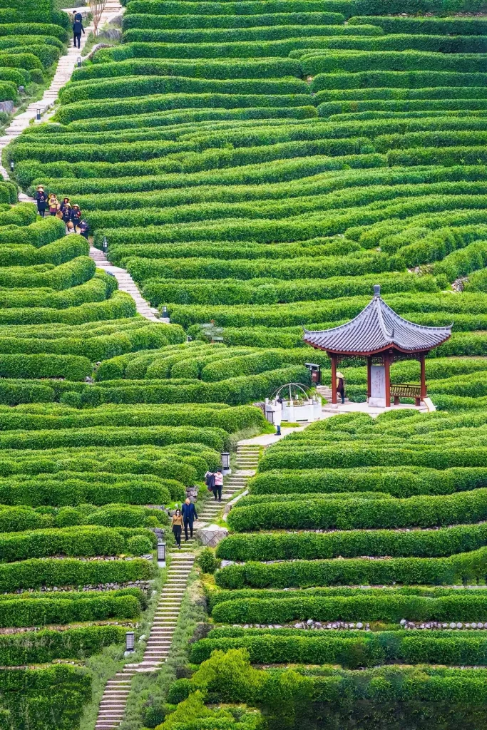 Longjing (Dragon Well) Village