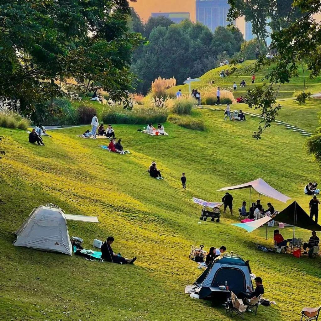 Qinglong Lake Wetland Park