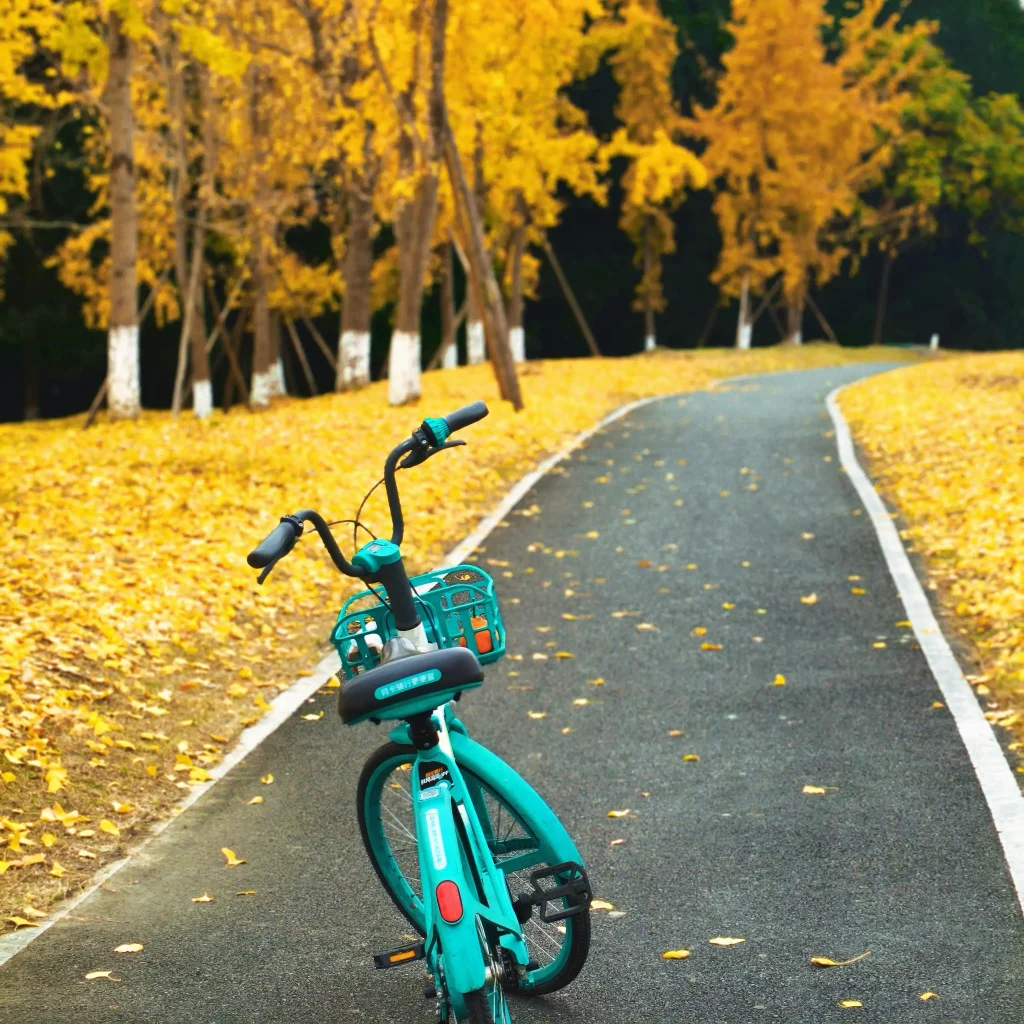 Qinglong Lake Wetland Park