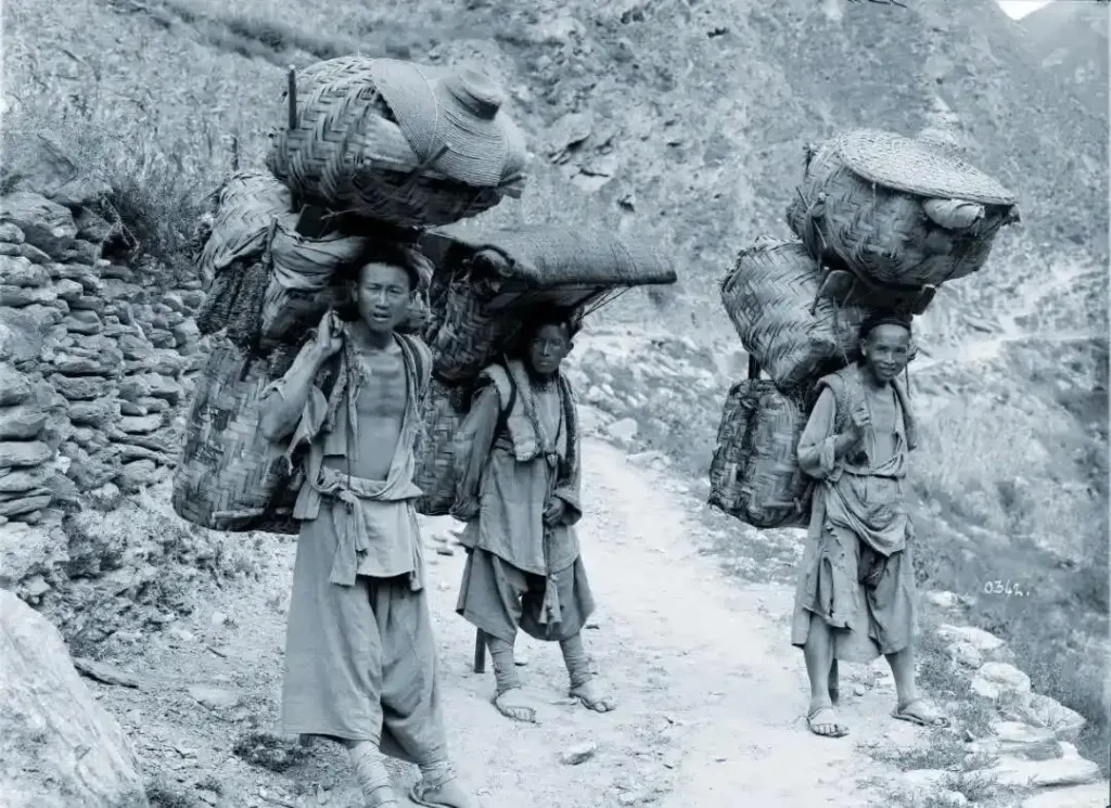 Transport caravans on the Ancient Tea Horse Road