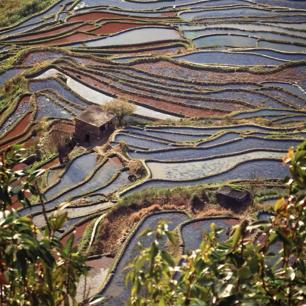 Bada terraces at sunset