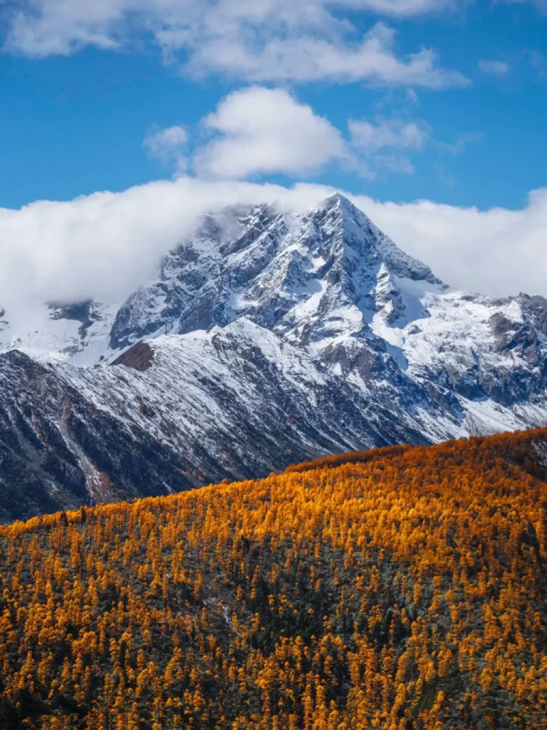 Baimang Snow Mountain