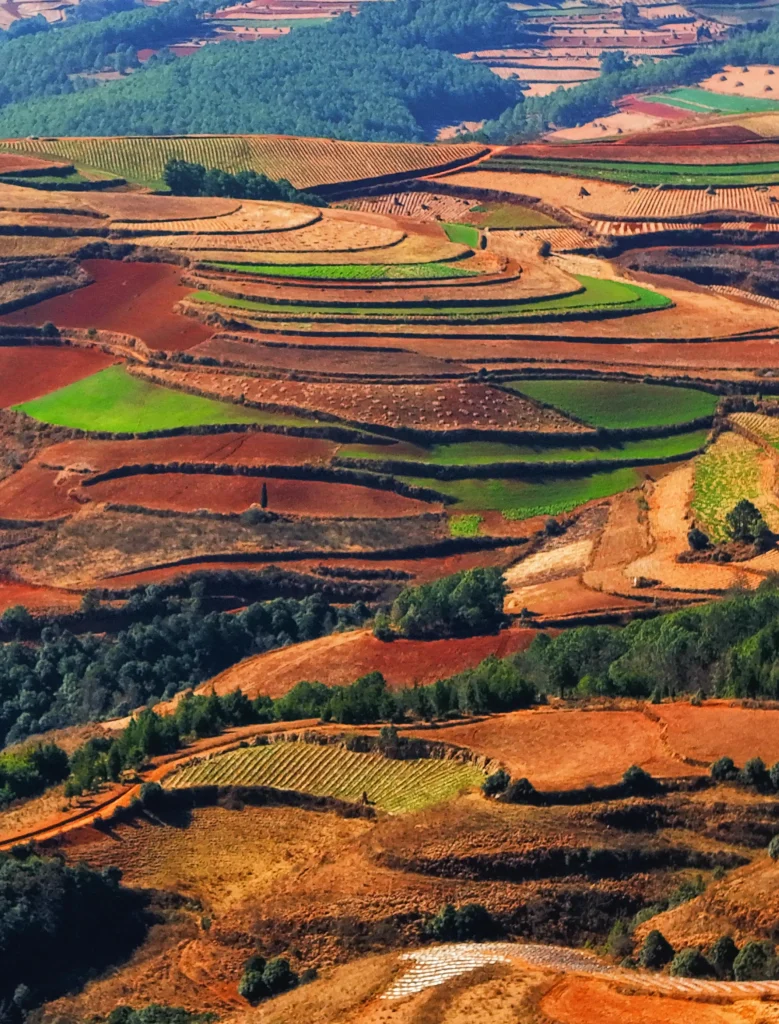 Dongchuan Red Earth