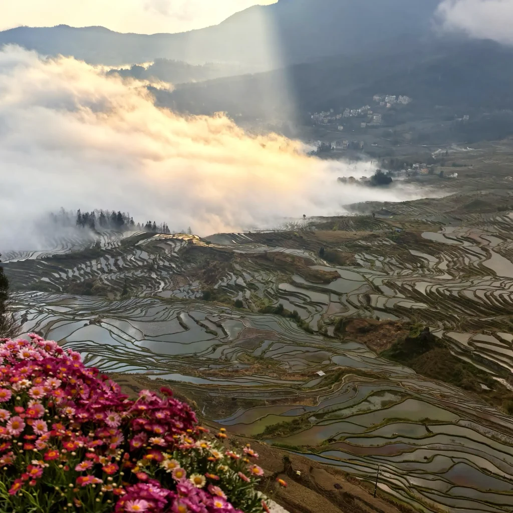 Duoyishu sunrise with flooded terraces reflecting golden light