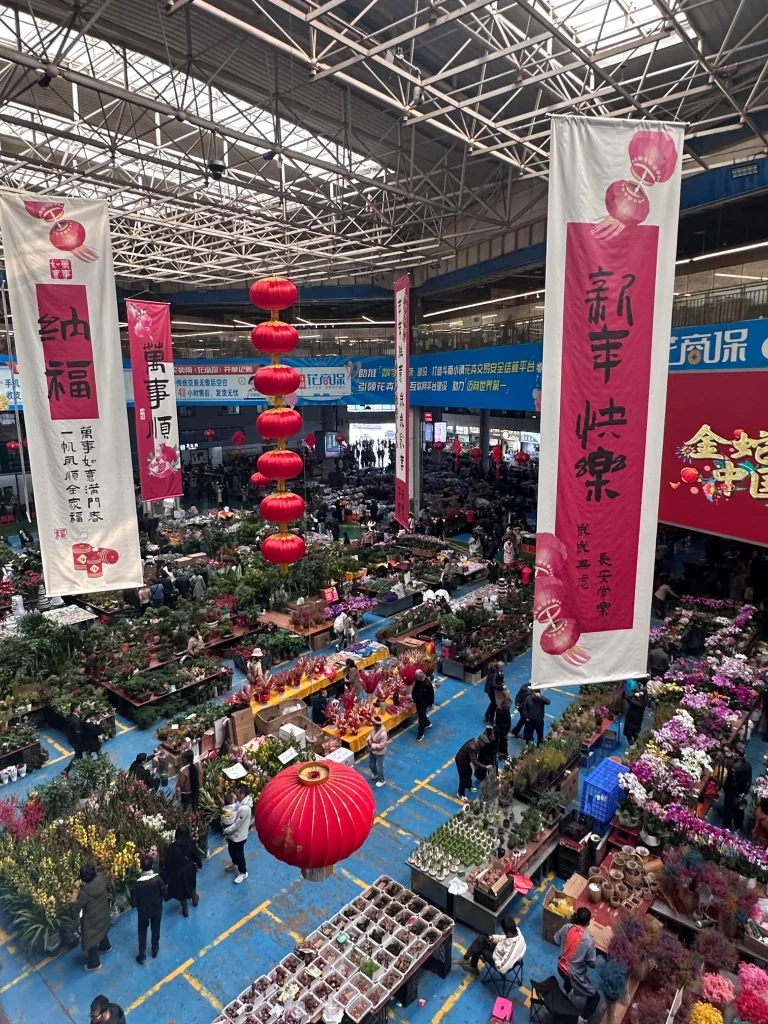 Kunming Dounan Flower Market