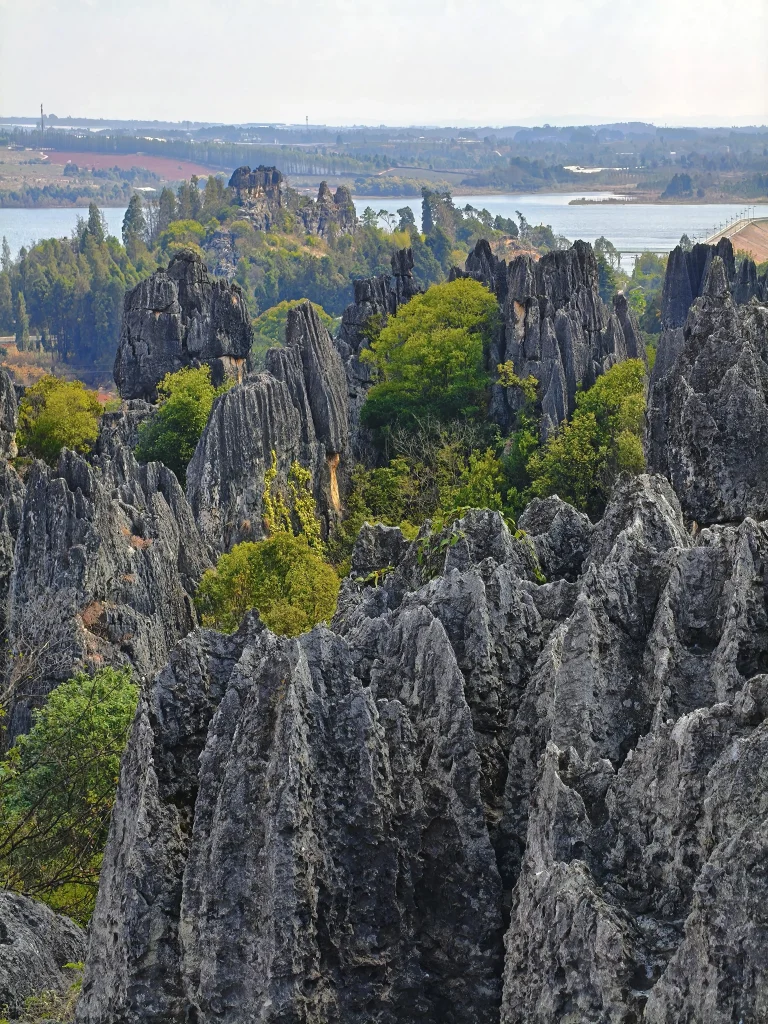 Naigu Stone Forest