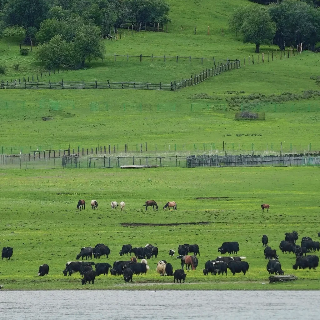 Pudacuo National Park