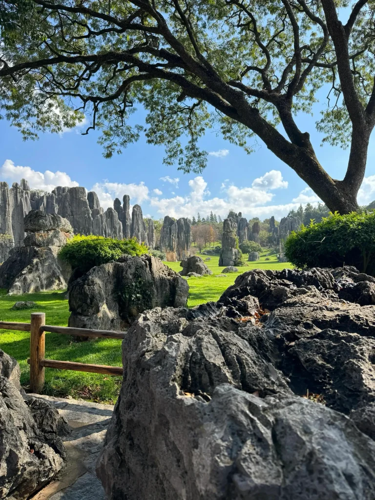 Stone Forest, Yunnan