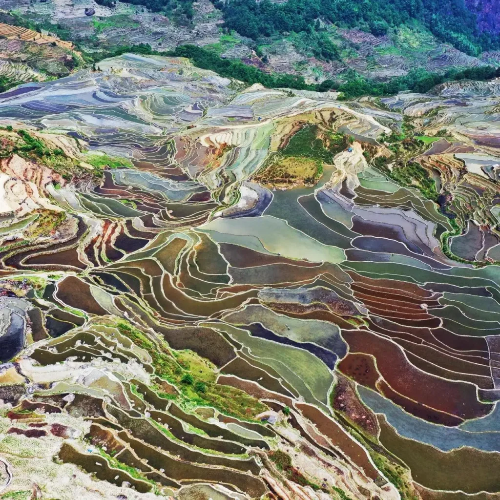 Tiger's Mouth dramatic terraced valley