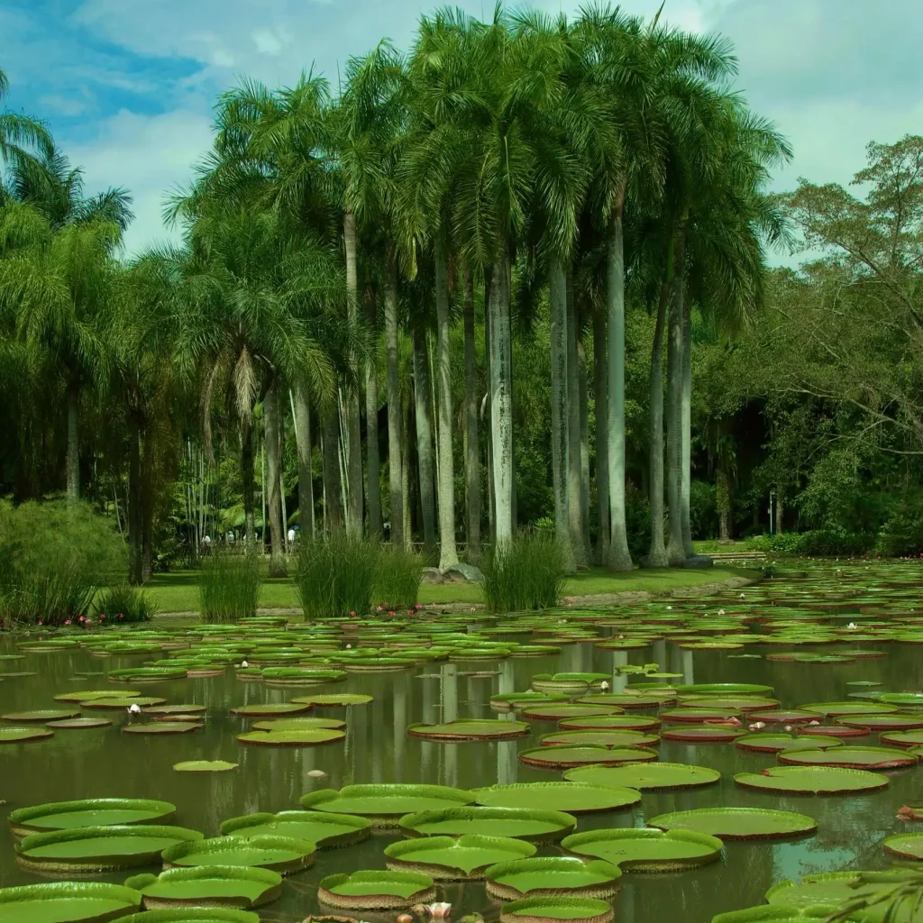 Xishuangbanna Tropical Botanical Garden