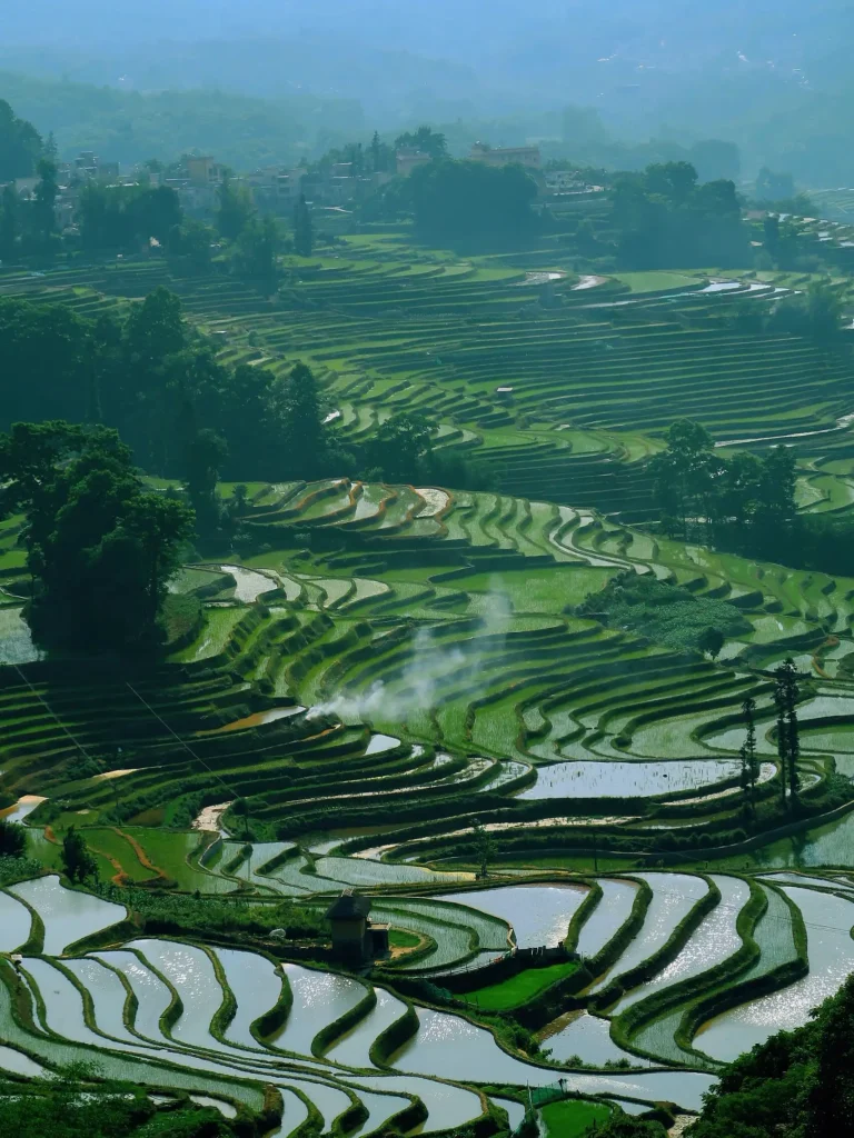 Yuanyang Terraces