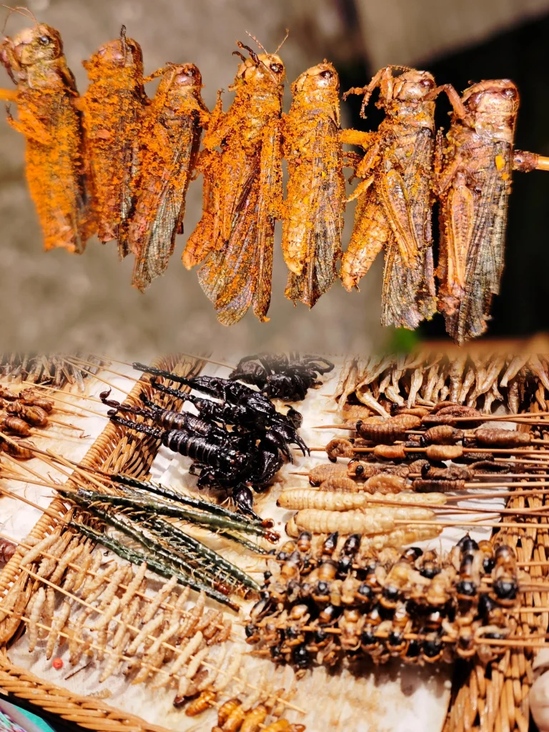 Yunnan insects for consumption