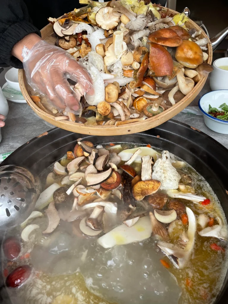 Yunnan wild mushroom hot pot