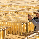 Read more about the article Yunnan Cheese: Why This Province Has China’s Only Cheese Tradition